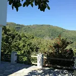 Deluxe House In