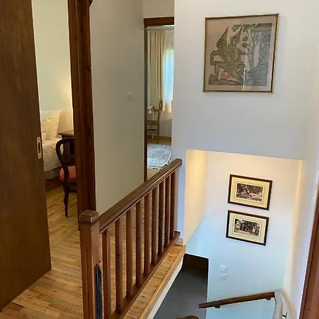 Villa Deluxe House In Tsagarada