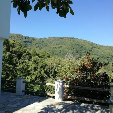 Deluxe House In